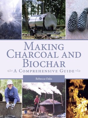 cover image of Making Charcoal and Biochar
